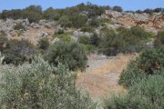 Kalo Chorio bei Agios Nikolaos Kreta, Kalo Chorio: Baugrundstück in der Nähe von Stränden zu verkaufen Grundstück kaufen